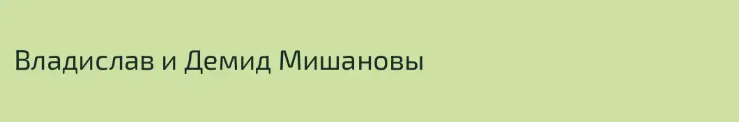 Владислав и Демид Мишановы